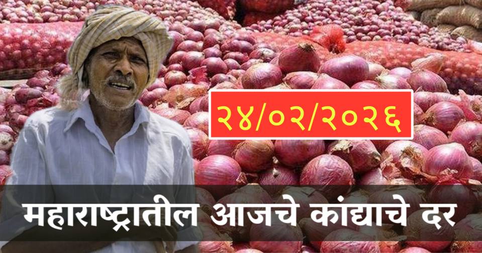 Onion Rate 24 February